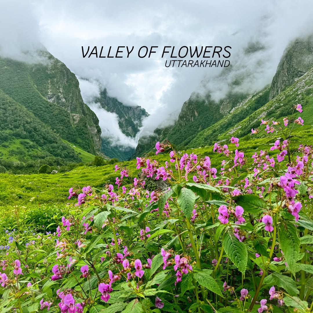 Valley of Flowers Trek: Best Time To Visit, Suggested Itinerary & More