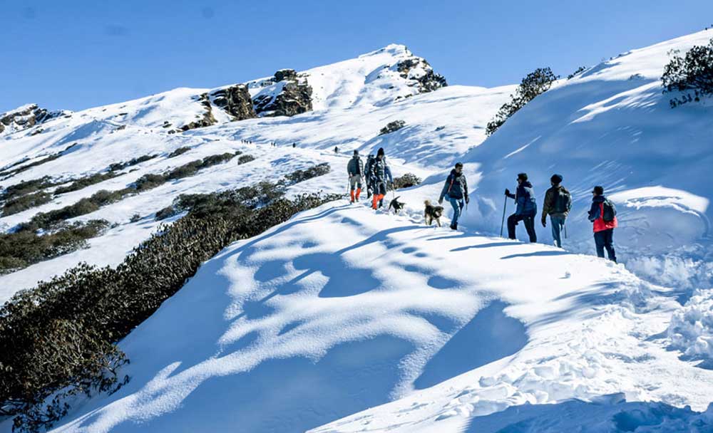 Trekking in Chopta