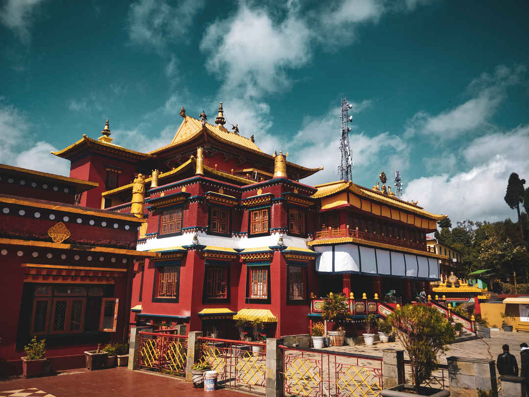 Darjeeling Tour Package: Explore the Best of the Himalayas