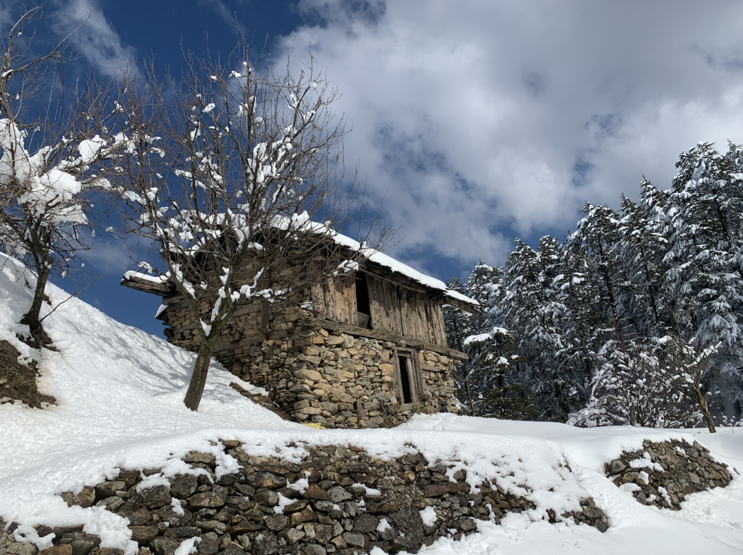 Chakrata Trek & Tour Packages: Adventure in the Hills