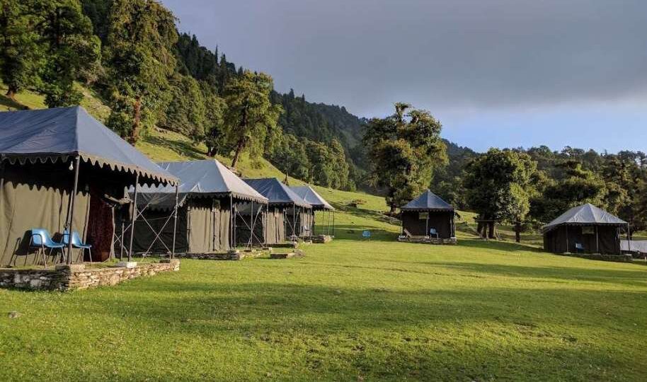 Budget & Luxury Chopta Tour Packages – Compare & Book Now