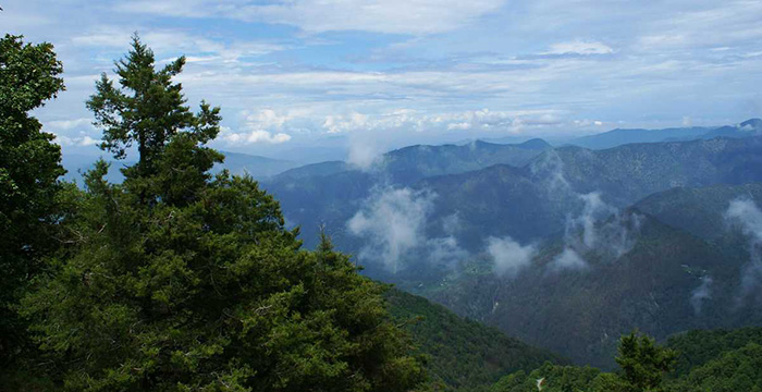 Chakrata Weather in August	