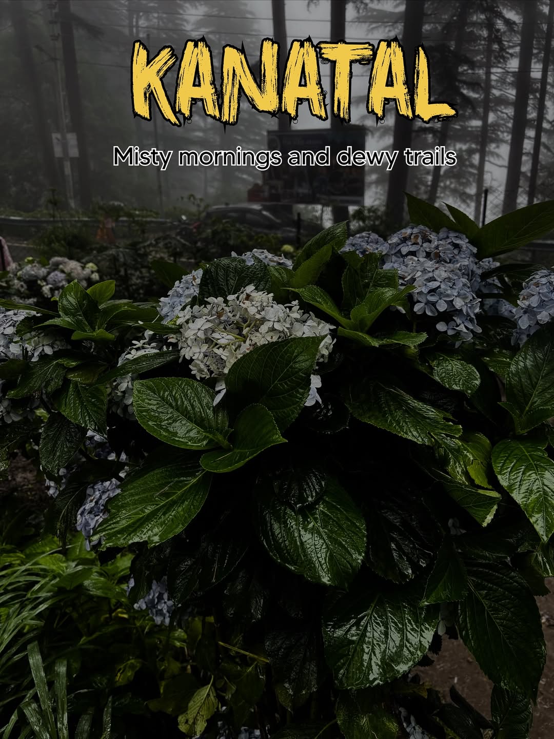 Is there snowfall in Kanatal?