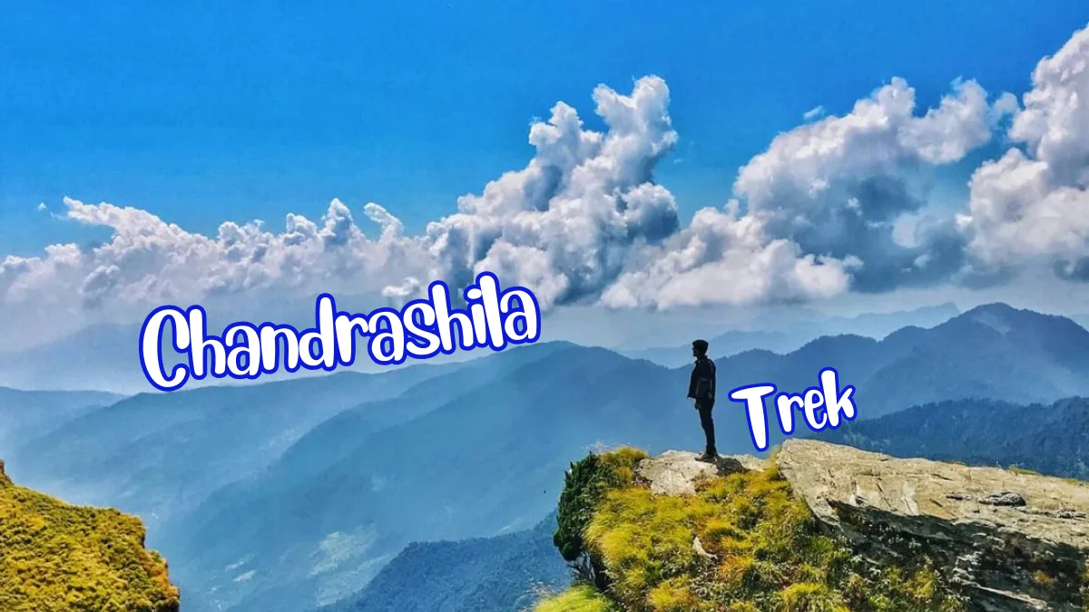 Chandrashila Summit Trek