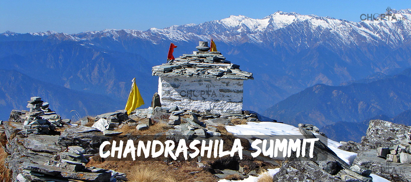 Chandrashila Summit Trek