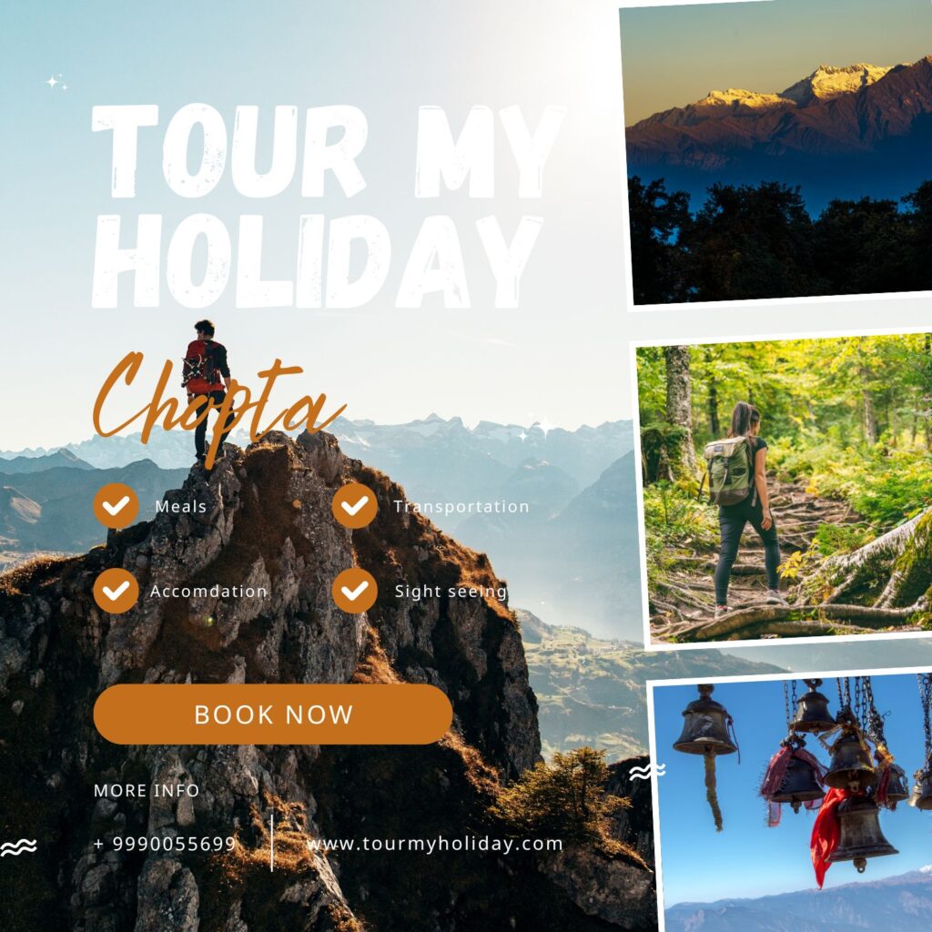 Chopta Tour Package 2025: Top Places & Things to Do