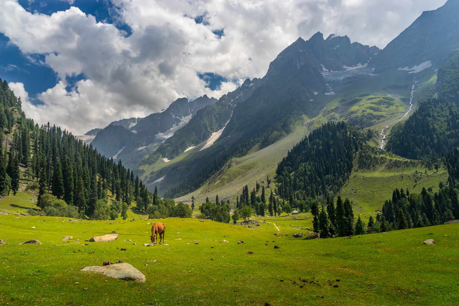 Unveil the Beauty of Kashmir: Top Kashmir Trip Packages for an Unforgettable Experience