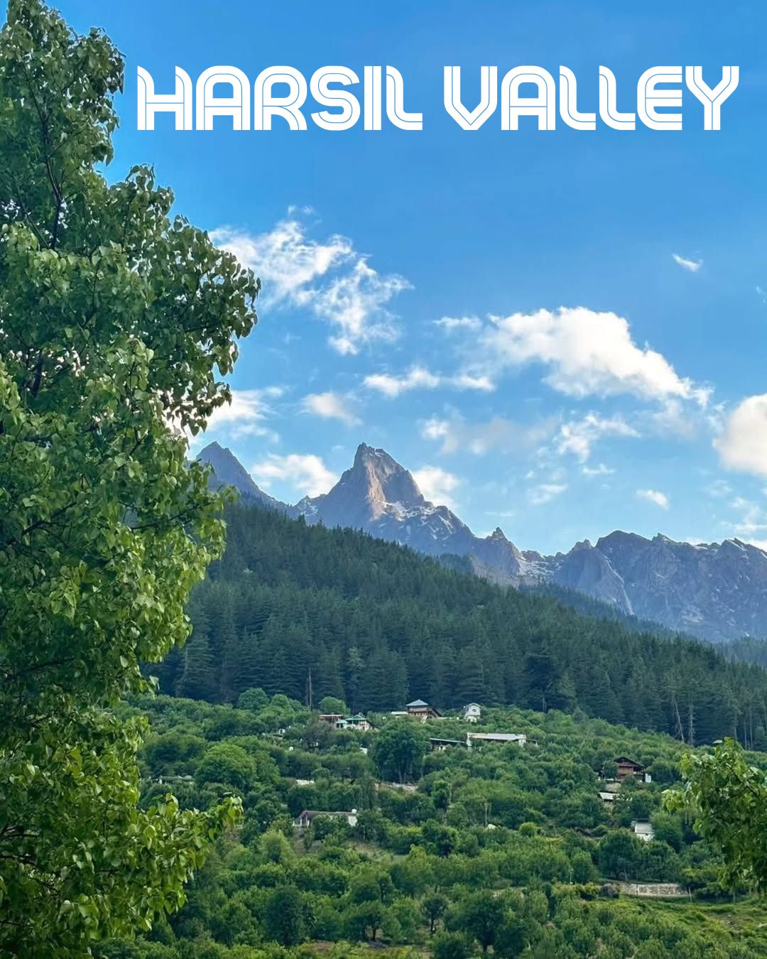 Untouched Beauty Awaits: Harsil Valley Tour Package 