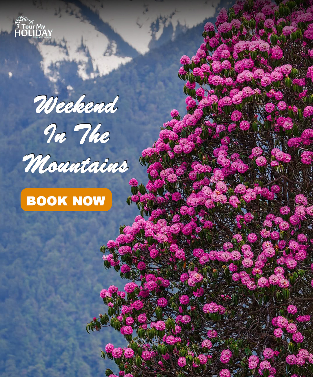 Chopta Tour Package – Escape to Uttarakhand Hills