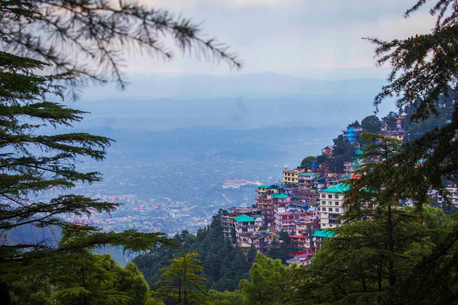 From Monasteries to Mountains: Best McLeodganj Tour Packages for Travelers