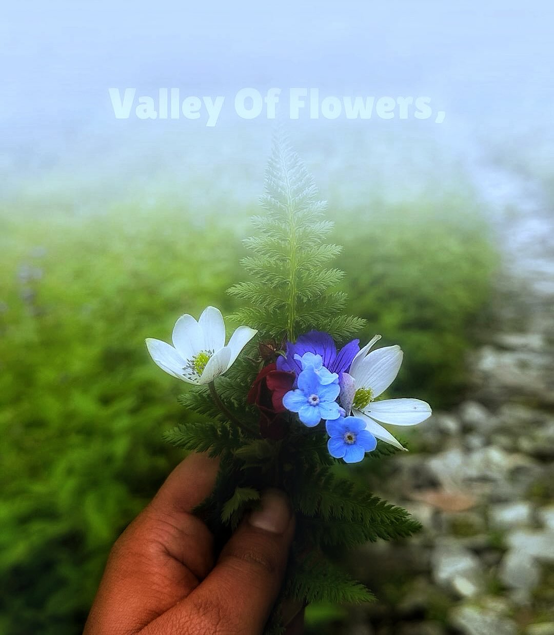 Valley of Flowers Trek 2025 | Itinerary, Best time, Difficulty