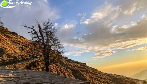 Chopta Tour Packages: A Complete Guide to Exploring the Beauty of Chopta, Tungnath, and Chandrashila