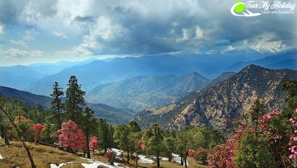 How to Plan the Tungnath Chandrashila Trek from Delhi