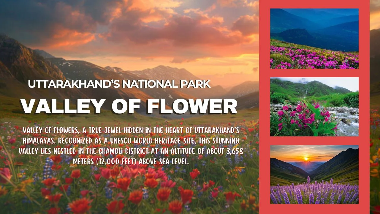 Why You Must Visit Valley Of Flowers Once in Your Life ?
