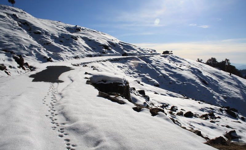 Enjoy the ultimate trekking experience with our Chopta tour packages featuring the Tungnath Temple trek.