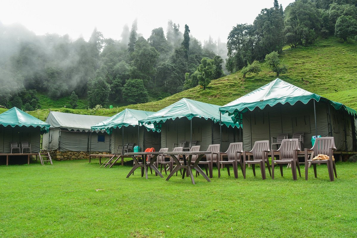 camps in chopta experience nature and adventure in-the heart of uttarakhand