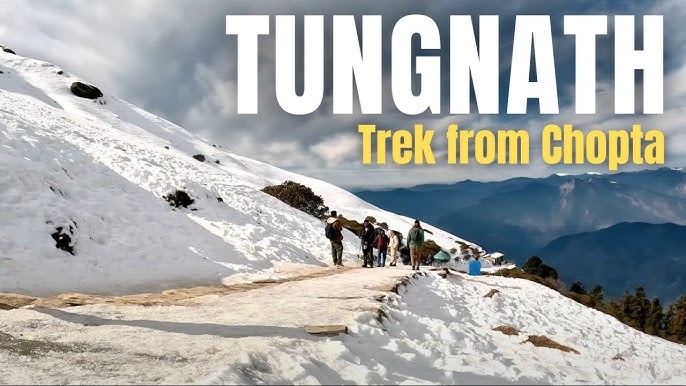 Chopta Tungnath Trek: Complete Guide for Beginners (2025 Update)