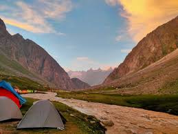 Exploring Assam’s Rich Wildlife: Kaziranga, Manas & More