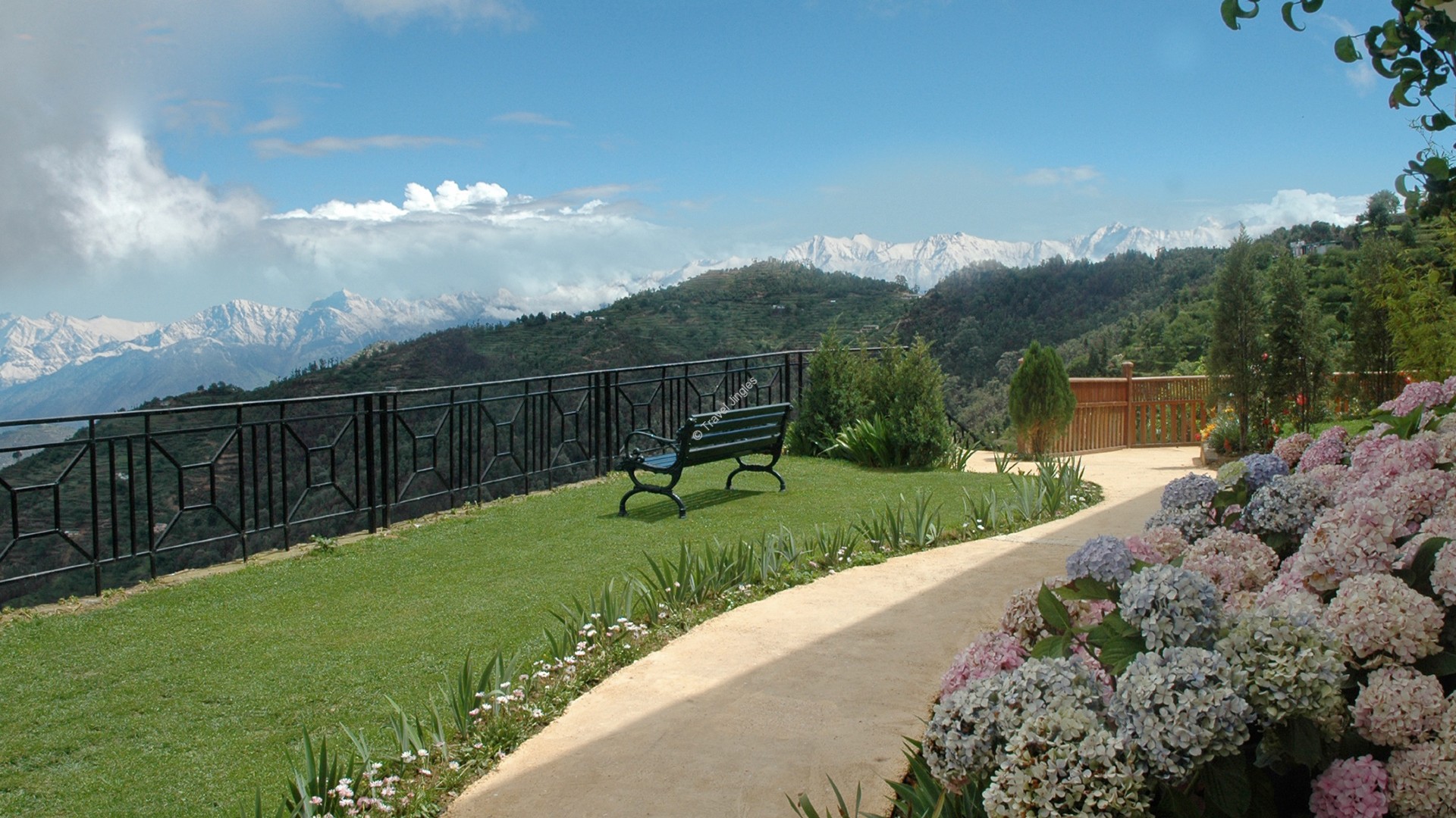 Kanatal Tour Package: Your Gateway to Himalayan Bliss